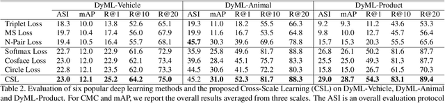 Figure 4 for Dynamic Metric Learning: Towards a Scalable Metric Space to Accommodate Multiple Semantic Scales