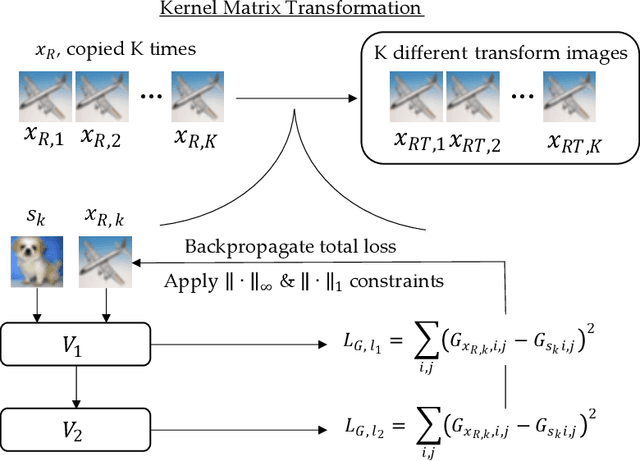 Figure 3 for A Perturbation Resistant Transformation and Classification System for Deep Neural Networks