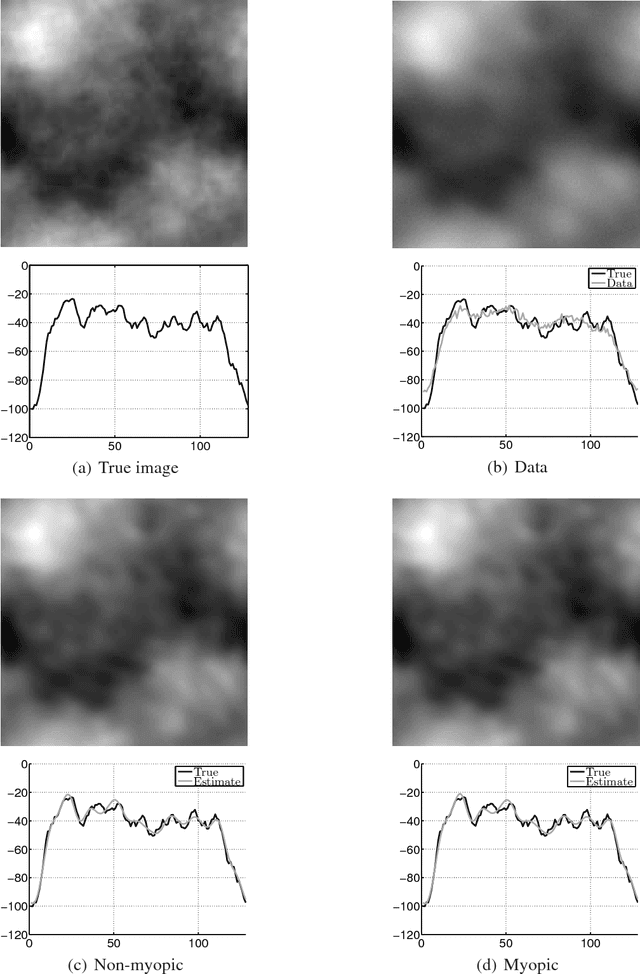 Figure 2 for Bayesian estimation of regularization and PSF parameters for Wiener-Hunt deconvolution