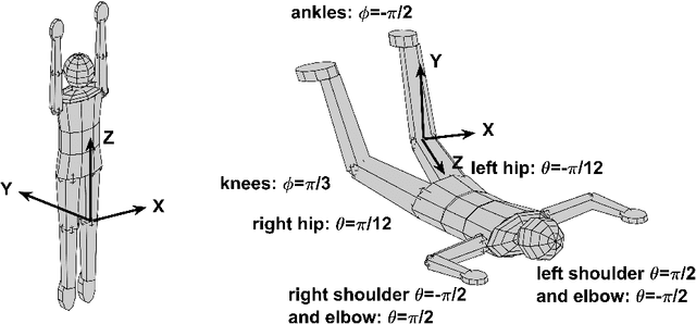 Figure 2 for A Dynamic Model of a Skydiver With Validation in Wind Tunnel and Free Fall