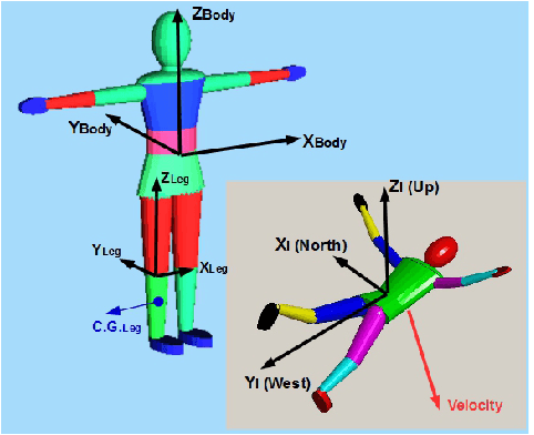 Figure 3 for A Dynamic Model of a Skydiver With Validation in Wind Tunnel and Free Fall