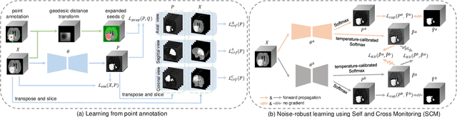 Figure 2 for PA-Seg: Learning from Point Annotations for 3D Medical Image Segmentation using Contextual Regularization and Cross Knowledge Distillation