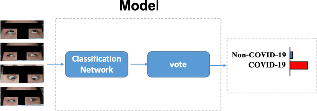 Figure 4 for Rapid COVID-19 Risk Screening by Eye-region Manifestations