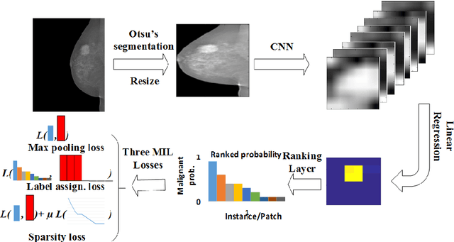 Figure 1 for Deep Multi-instance Networks with Sparse Label Assignment for Whole Mammogram Classification