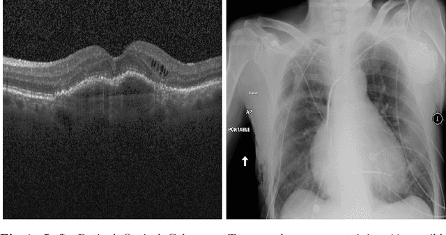 Figure 1 for Deep Multi Label Classification in Affine Subspaces