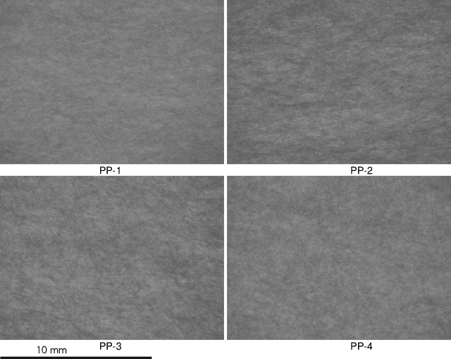 Figure 4 for Assessing cloudiness in nonwovens