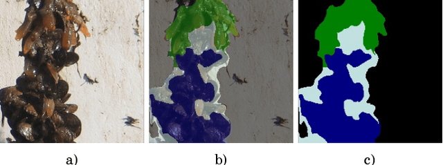 Figure 3 for The Ciona17 Dataset for Semantic Segmentation of Invasive Species in a Marine Aquaculture Environment