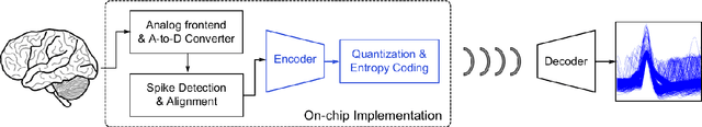 Figure 1 for Deep Compressive Autoencoder for Action Potential Compression in Large-Scale Neural Recording