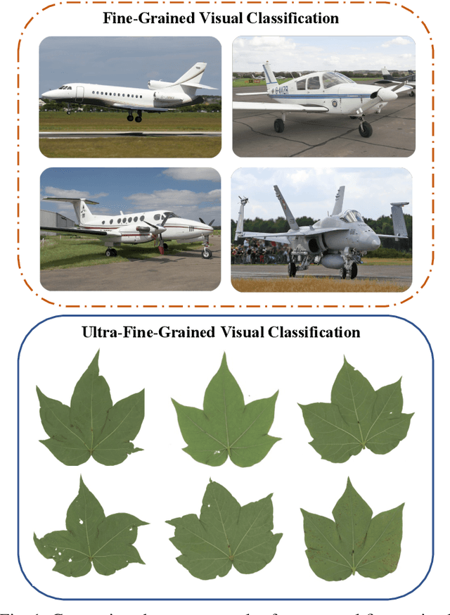 Figure 1 for Mask-Guided Feature Extraction and Augmentation for Ultra-Fine-Grained Visual Categorization