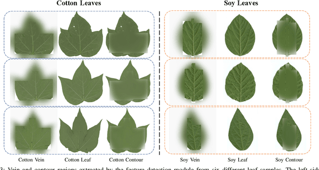 Figure 3 for Mask-Guided Feature Extraction and Augmentation for Ultra-Fine-Grained Visual Categorization