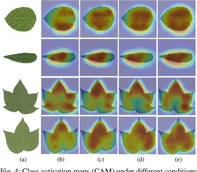 Figure 4 for Mask-Guided Feature Extraction and Augmentation for Ultra-Fine-Grained Visual Categorization