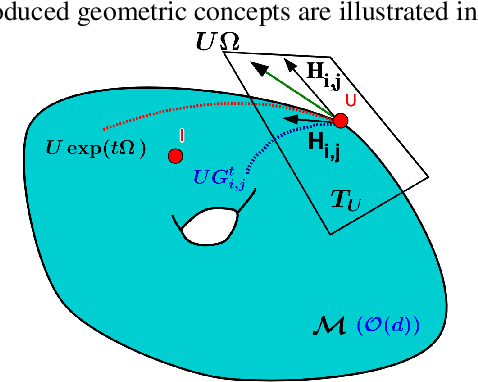 Figure 1 for Stochastic Flows and Geometric Optimization on the Orthogonal Group