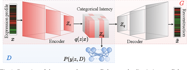 Figure 1 for Automated Cancer Subtyping via Vector Quantization Mutual Information Maximization