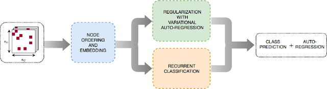 Figure 1 for Graph Classification with Recurrent Variational Neural Networks