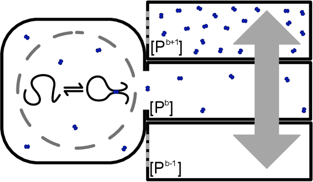 Figure 4 for Detailed Balanced Chemical Reaction Networks as Generalized Boltzmann Machines
