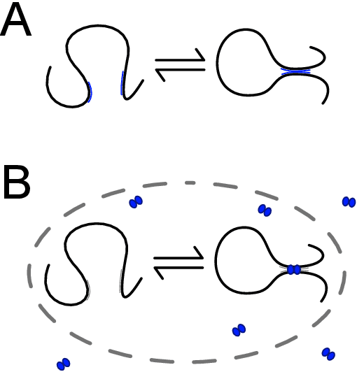 Figure 3 for Detailed Balanced Chemical Reaction Networks as Generalized Boltzmann Machines
