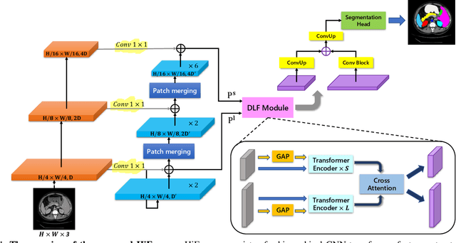 Figure 1 for HiFormer: Hierarchical Multi-scale Representations Using Transformers for Medical Image Segmentation