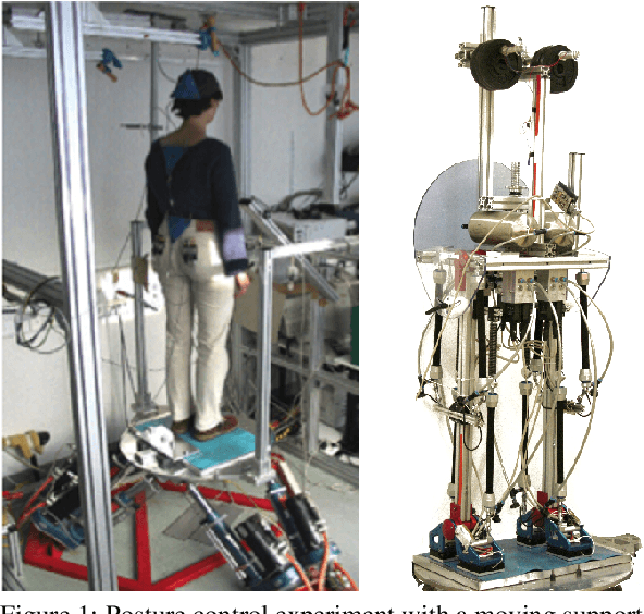 Figure 1 for Evaluating Robot Posture Control and Balance by Comparison to Human Subjects using Human Likeness Measures