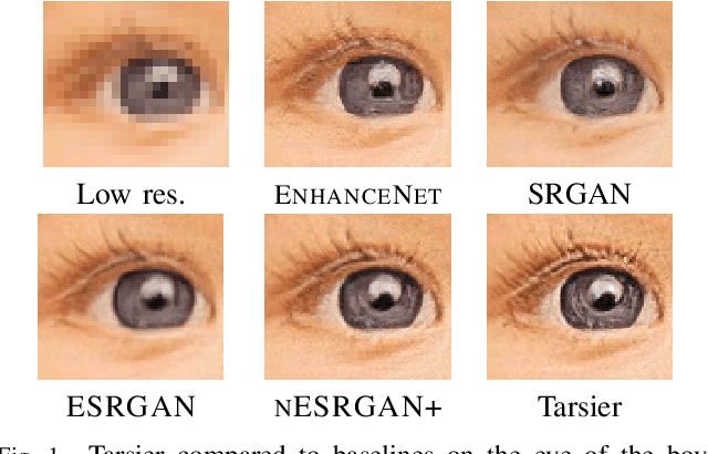 Figure 1 for Tarsier: Evolving Noise Injection in Super-Resolution GANs