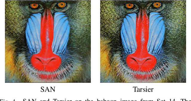 Figure 4 for Tarsier: Evolving Noise Injection in Super-Resolution GANs