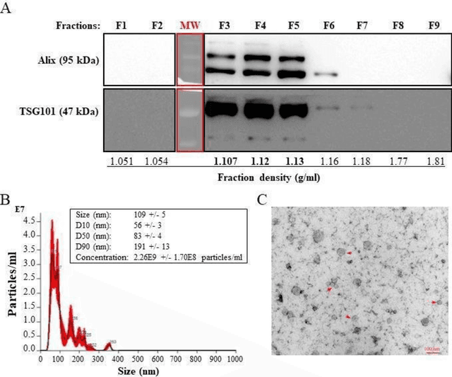 Figure 2 for Machine Learning Characterization of Cancer Patients-Derived Extracellular Vesicles using Vibrational Spectroscopies