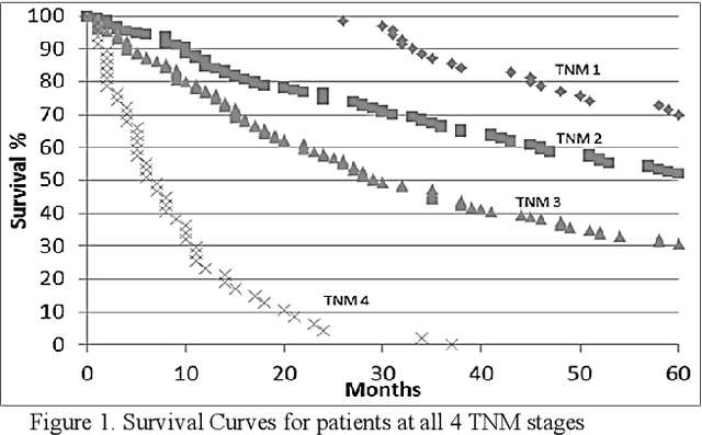 Figure 1 for An ensemble of machine learning and anti-learning methods for predicting tumour patient survival rates