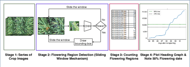 Figure 2 for Automatic estimation of heading date of paddy rice using deep learning
