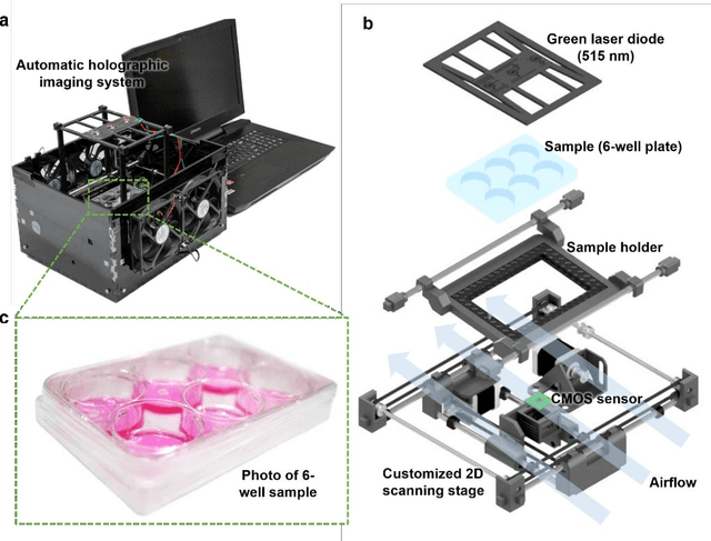 Figure 1 for Stain-free, rapid, and quantitative viral plaque assay using deep learning and holography