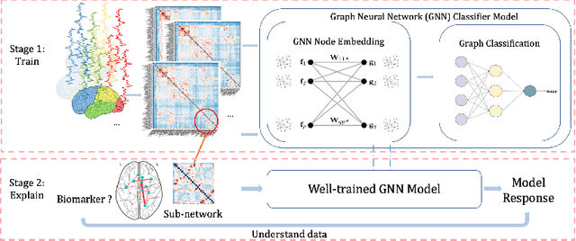 Figure 1 for Graph Neural Network for Interpreting Task-fMRI Biomarkers