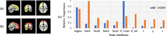 Figure 3 for Graph Neural Network for Interpreting Task-fMRI Biomarkers