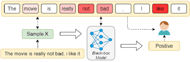 Figure 1 for Towards Explainability in NLP: Analyzing and Calculating Word Saliency through Word Properties