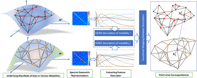 Figure 3 for Cross-Modal and Multimodal Data Analysis Based on Functional Mapping of Spectral Descriptors and Manifold Regularization