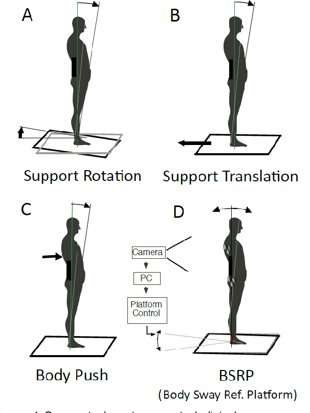 Figure 1 for COMTEST Project: A Complete Modular Test Stand for Human and Humanoid Posture Control and Balance