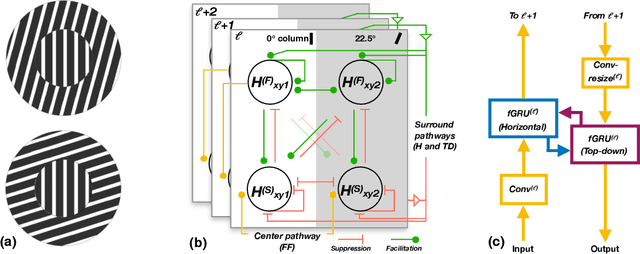 Figure 1 for Recurrent neural circuits for contour detection