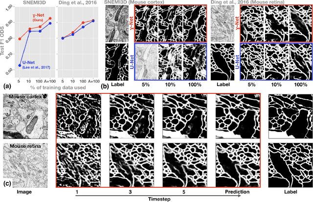 Figure 3 for Recurrent neural circuits for contour detection