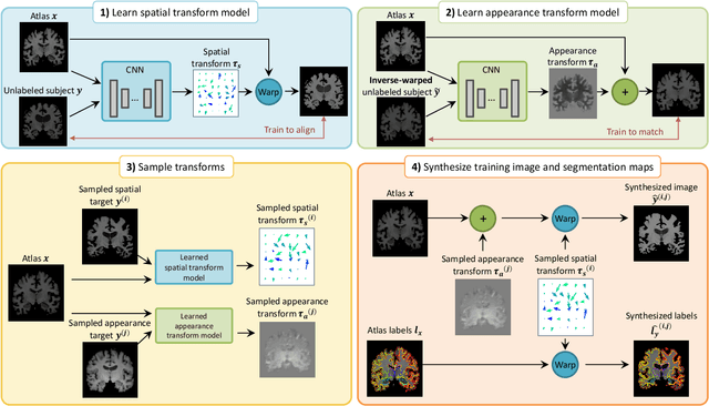 Figure 3 for Data augmentation using learned transformations for one-shot medical image segmentation