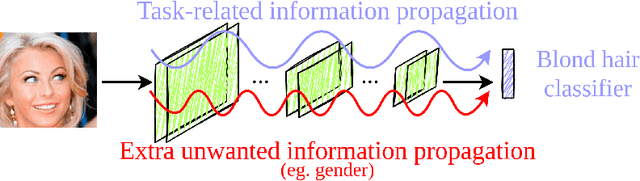 Figure 1 for Information Removal at the bottleneck in Deep Neural Networks
