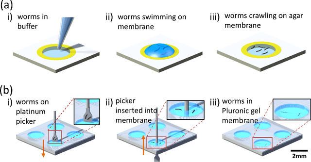 Figure 1 for Flexible and disposable paper- and plastic-based gel micropads for nematode handling, imaging, and chemical testing