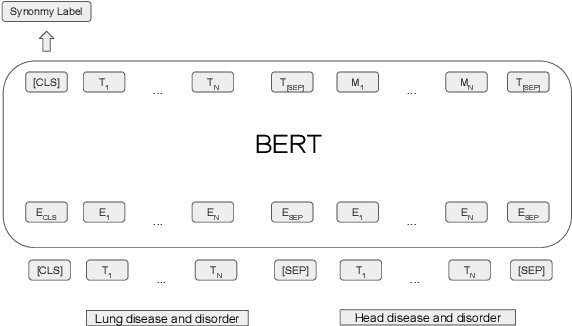 Figure 2 for Evaluating Biomedical BERT Models for Vocabulary Alignment at Scale in the UMLS Metathesaurus