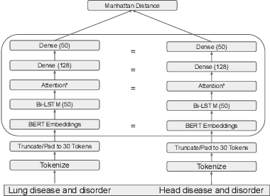Figure 4 for Evaluating Biomedical BERT Models for Vocabulary Alignment at Scale in the UMLS Metathesaurus