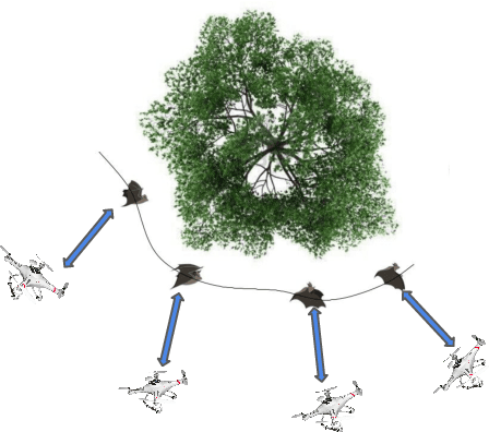 Figure 1 for Recreating Bat Behavior on Quad-rotor UAVs-A Simulation Approach