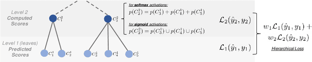 Figure 1 for United We Learn Better: Harvesting Learning Improvements From Class Hierarchies Across Tasks