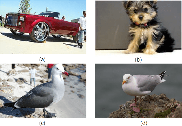 Figure 1 for Feature Pyramid Hashing