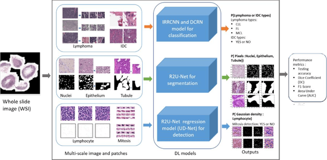 Figure 1 for Advanced Deep Convolutional Neural Network Approaches for Digital Pathology Image Analysis: a comprehensive evaluation with different use cases