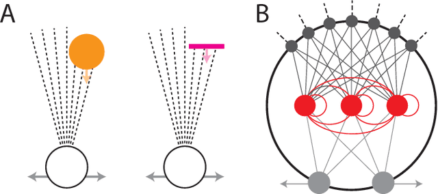 Figure 1 for Evolution and Analysis of Embodied Spiking Neural Networks Reveals Task-Specific Clusters of Effective Networks