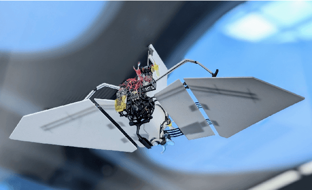 Figure 1 for Bang-Bang Control Of A Tail-less Morphing Wing Flight