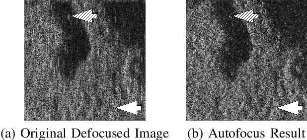Figure 1 for Real-Time, Deep Synthetic Aperture Sonar (SAS) Autofocus