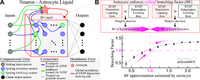 Figure 1 for Increasing Liquid State Machine Performance with Edge-of-Chaos Dynamics Organized by Astrocyte-modulated Plasticity