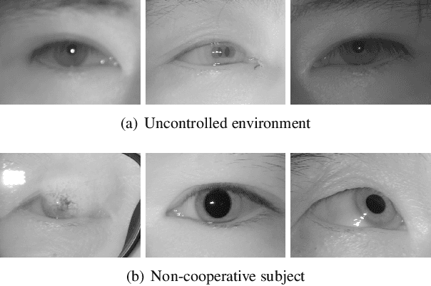 Figure 3 for Recognition Oriented Iris Image Quality Assessment in the Feature Space