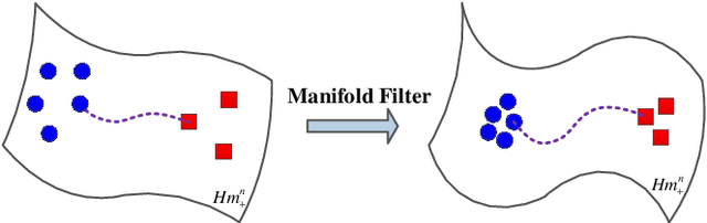 Figure 2 for MIG Median Detectors with Manifold Filter